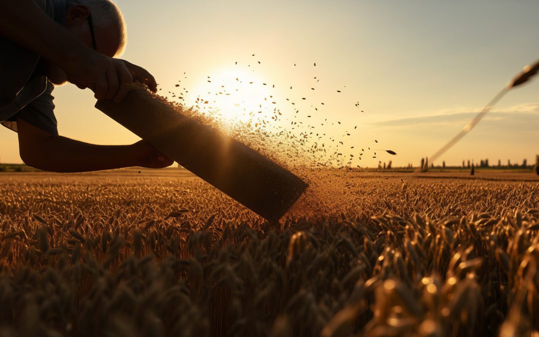 Sow the Seeds