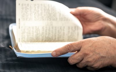 You Are What You Eat!