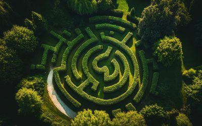 Navigating the Maze