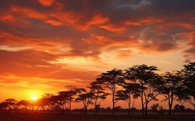 My Love is a Mystery