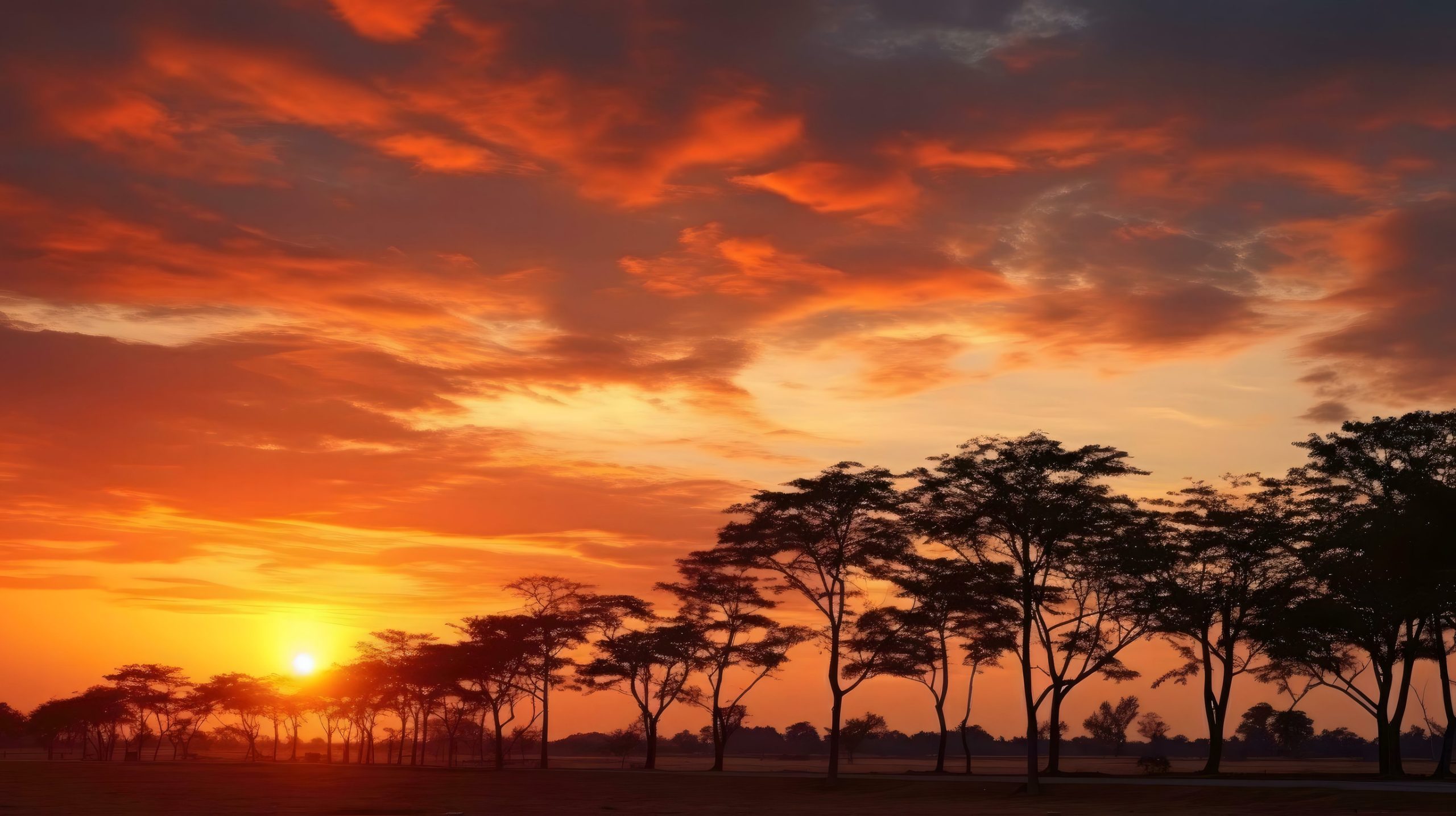 Fiery Sunset over the Savannah