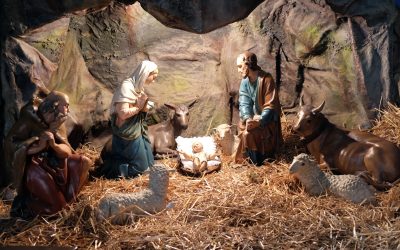 What Can You Give Me?