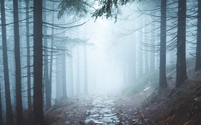 I Will Light Your Path