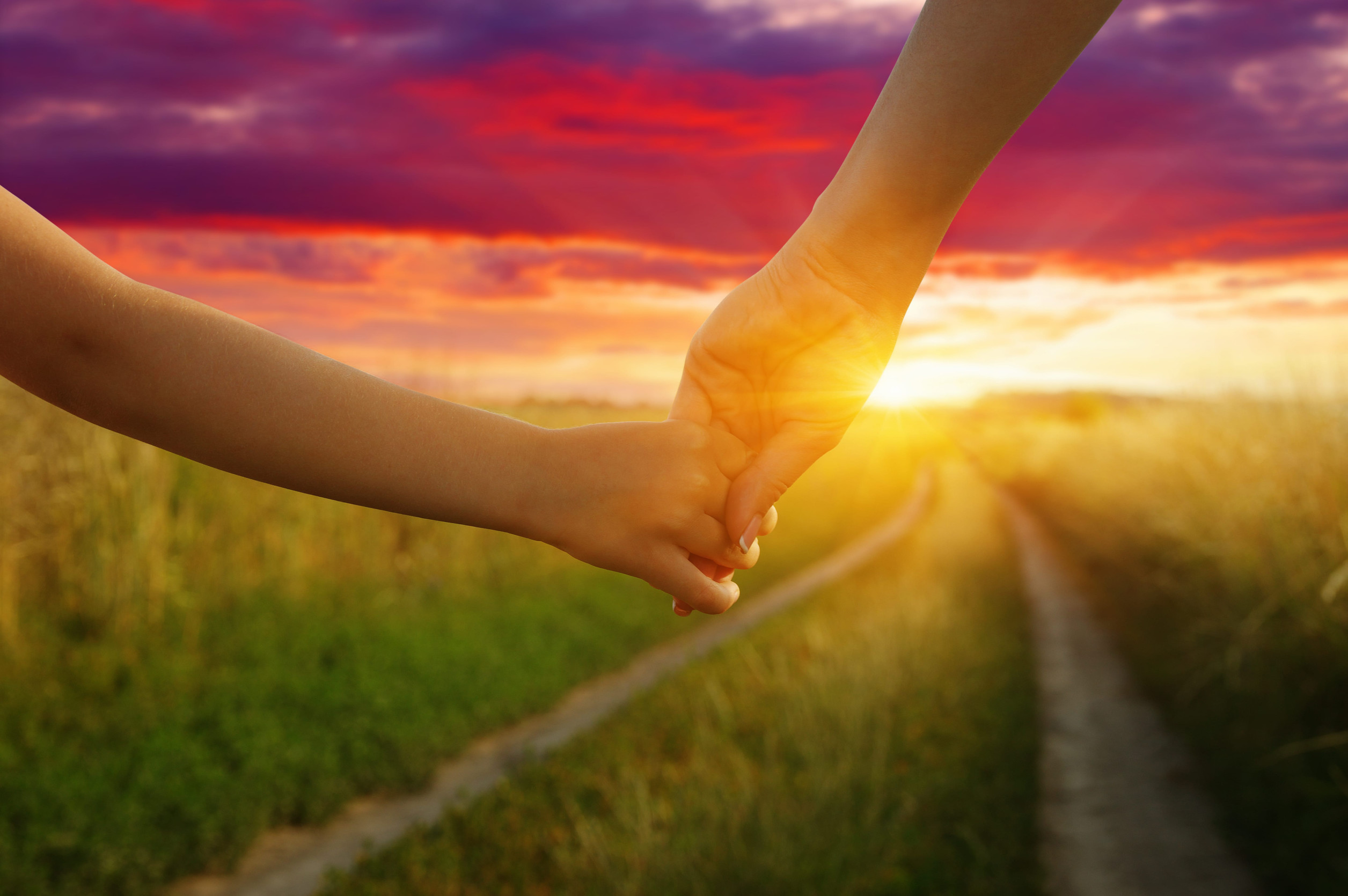Hands of holding each other in field on road and sun